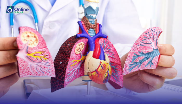 Lesson 01: The Essentials of Respiratory Physiology
